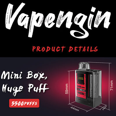 Vapengin Disposable 50mg 5500 Puff